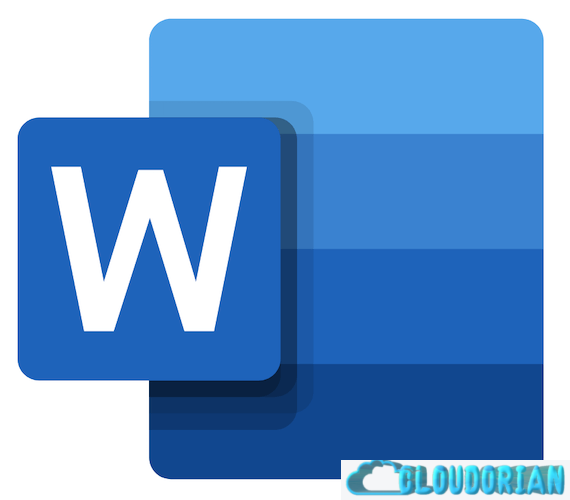 MS Word Document