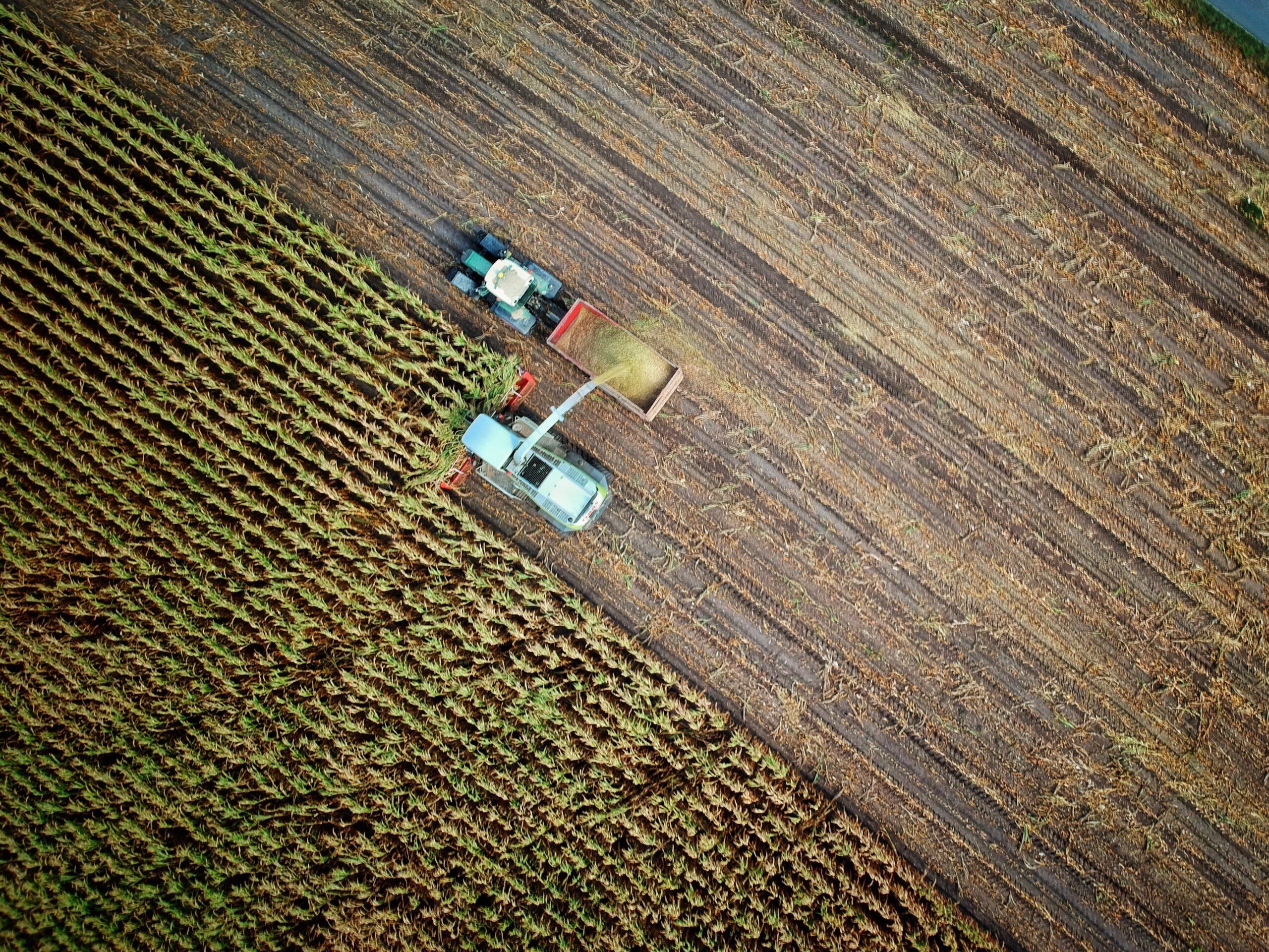 5 Ways Modern Technology has Helped in Agricultural Production