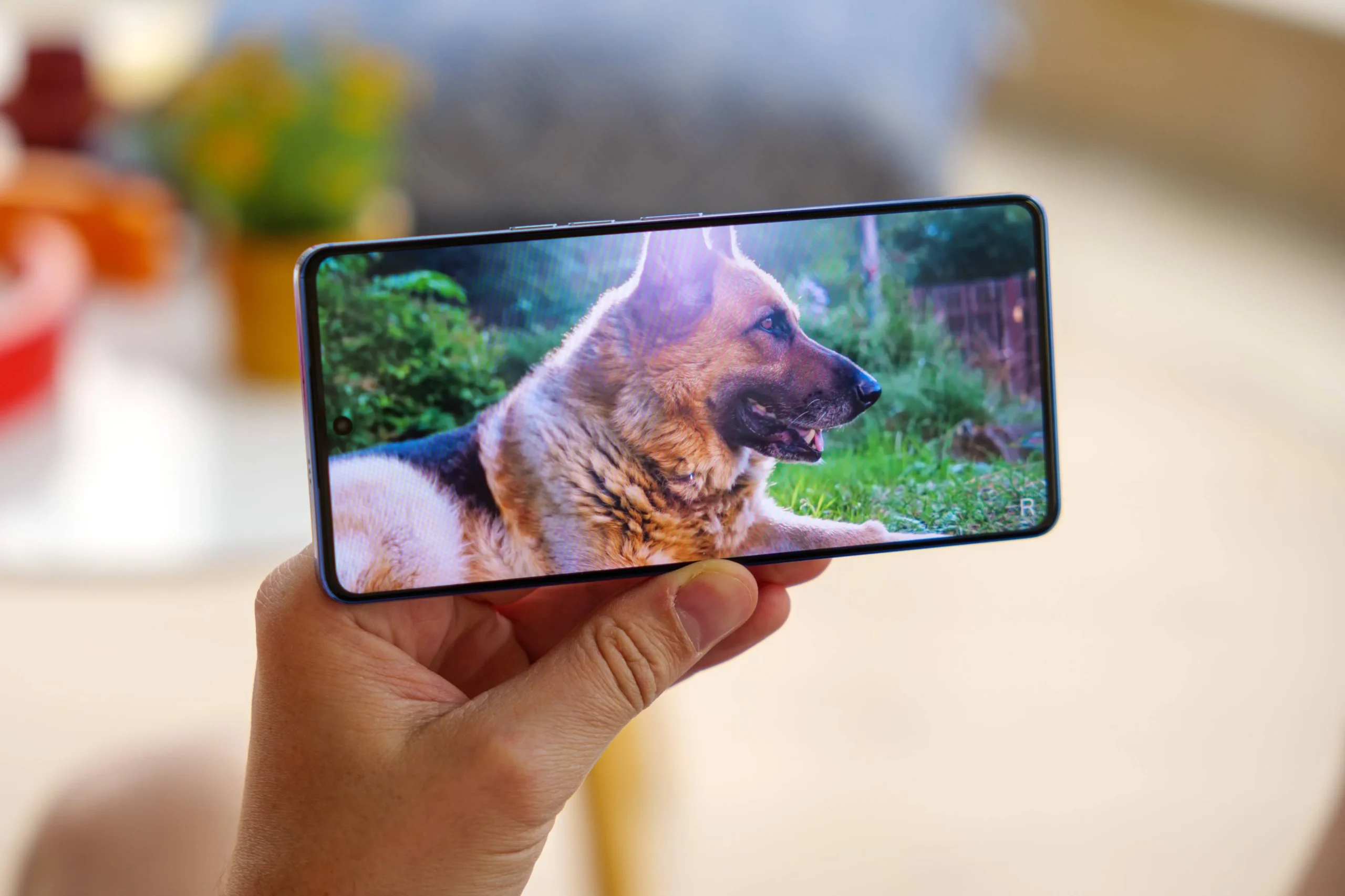 Tecno Camon 20 Premier Design and Display