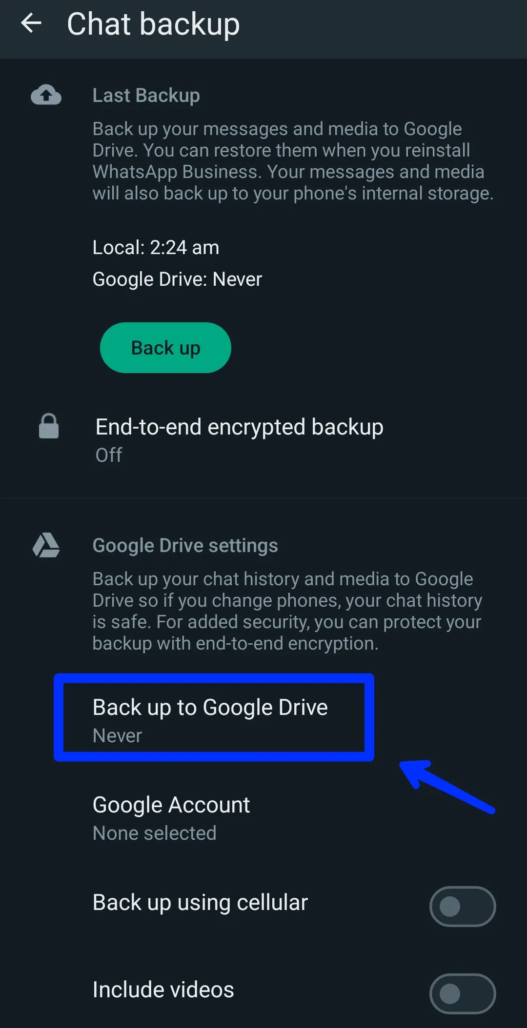 WhatsApp Set Backup Drive