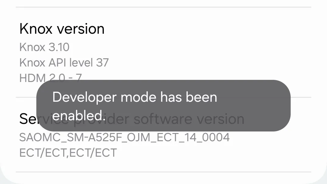 Developer Options Activated / How to Enable Developer Options on Any Android Phone 