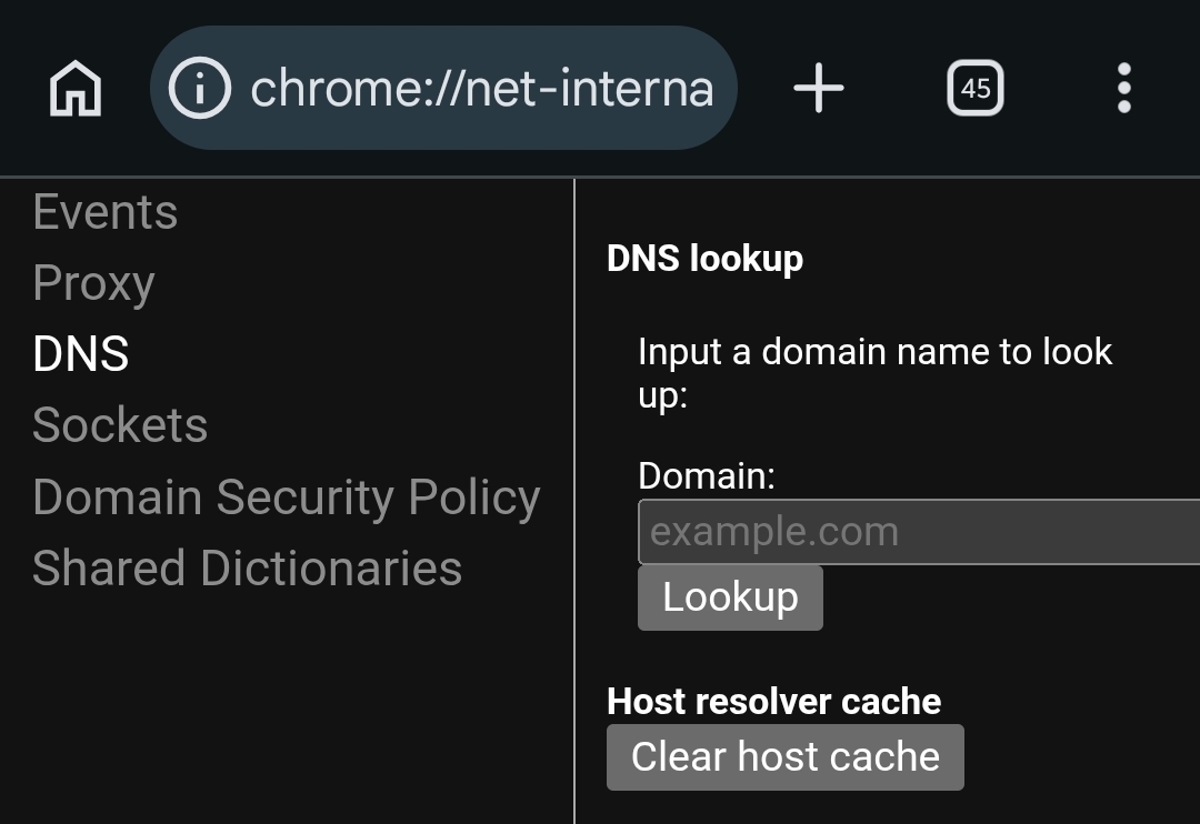 Chrome net internals DNS page showing clear host Chrome net internals DNS page showing clear host cache button fix