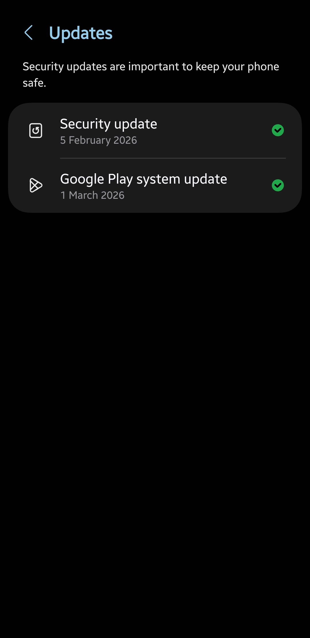 Samsung March 2026 Google Play system update