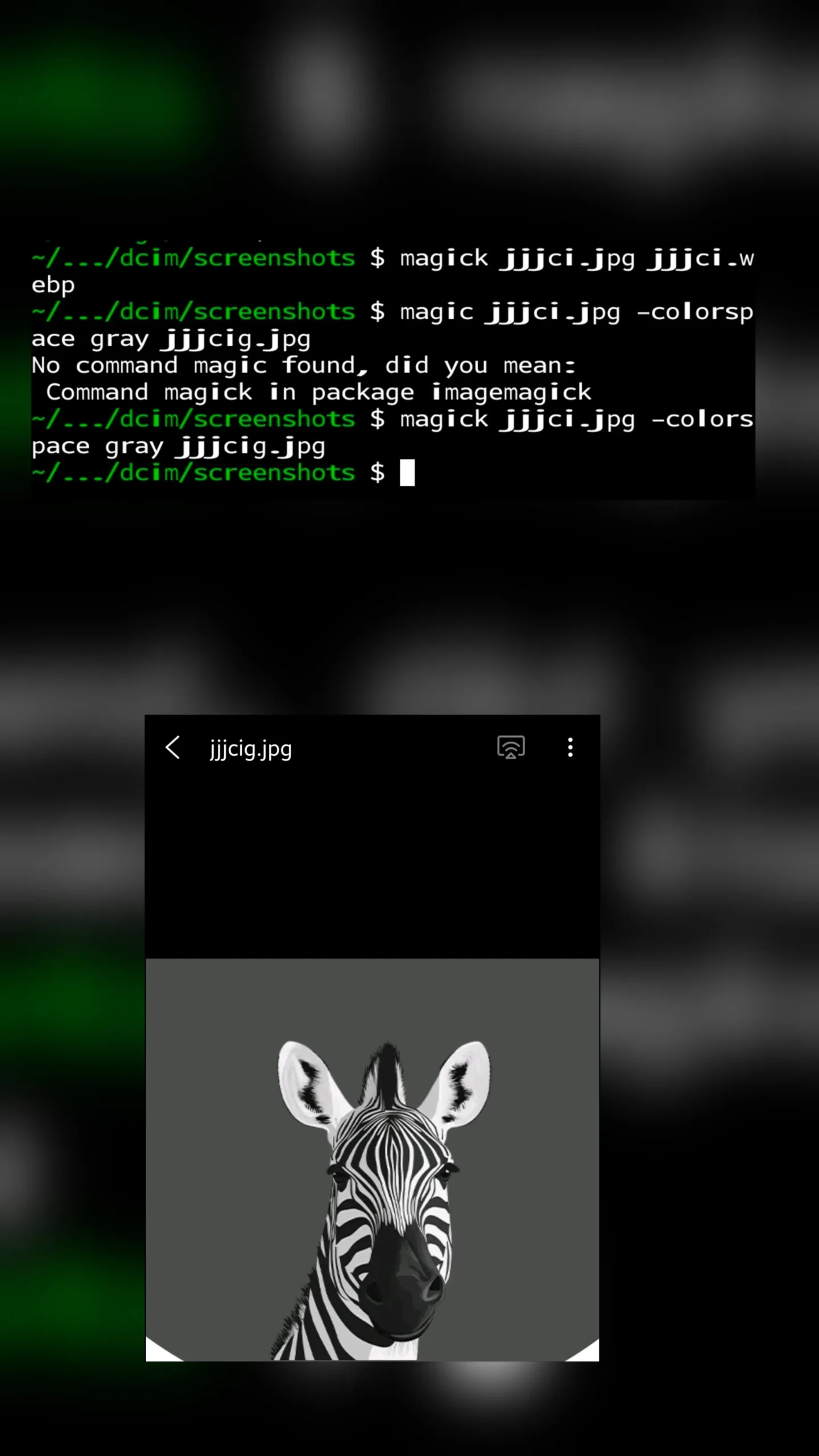 Termux ImageMagick command on Android converting photo to grayscale on Samsung Galaxy phone