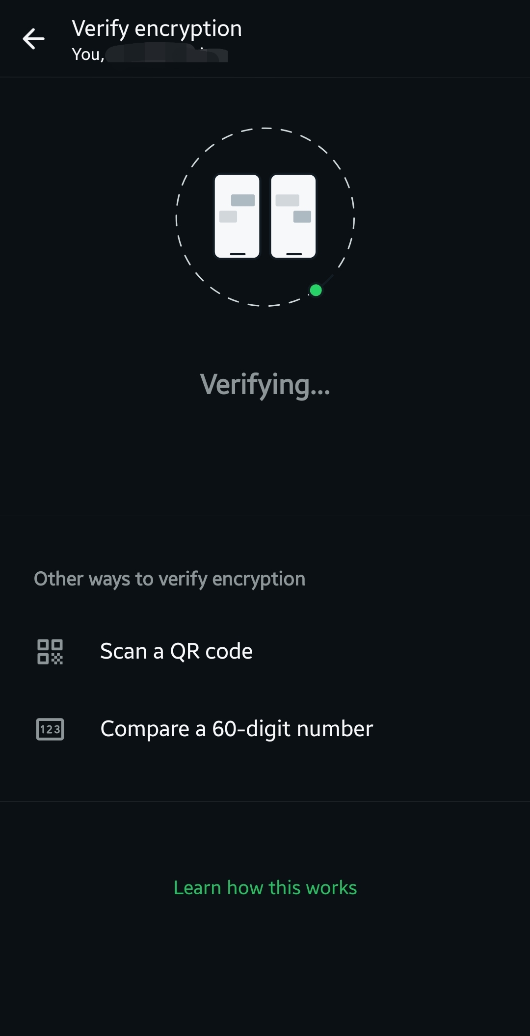 WhatsApp encryption verification screen showing automatic check in progress