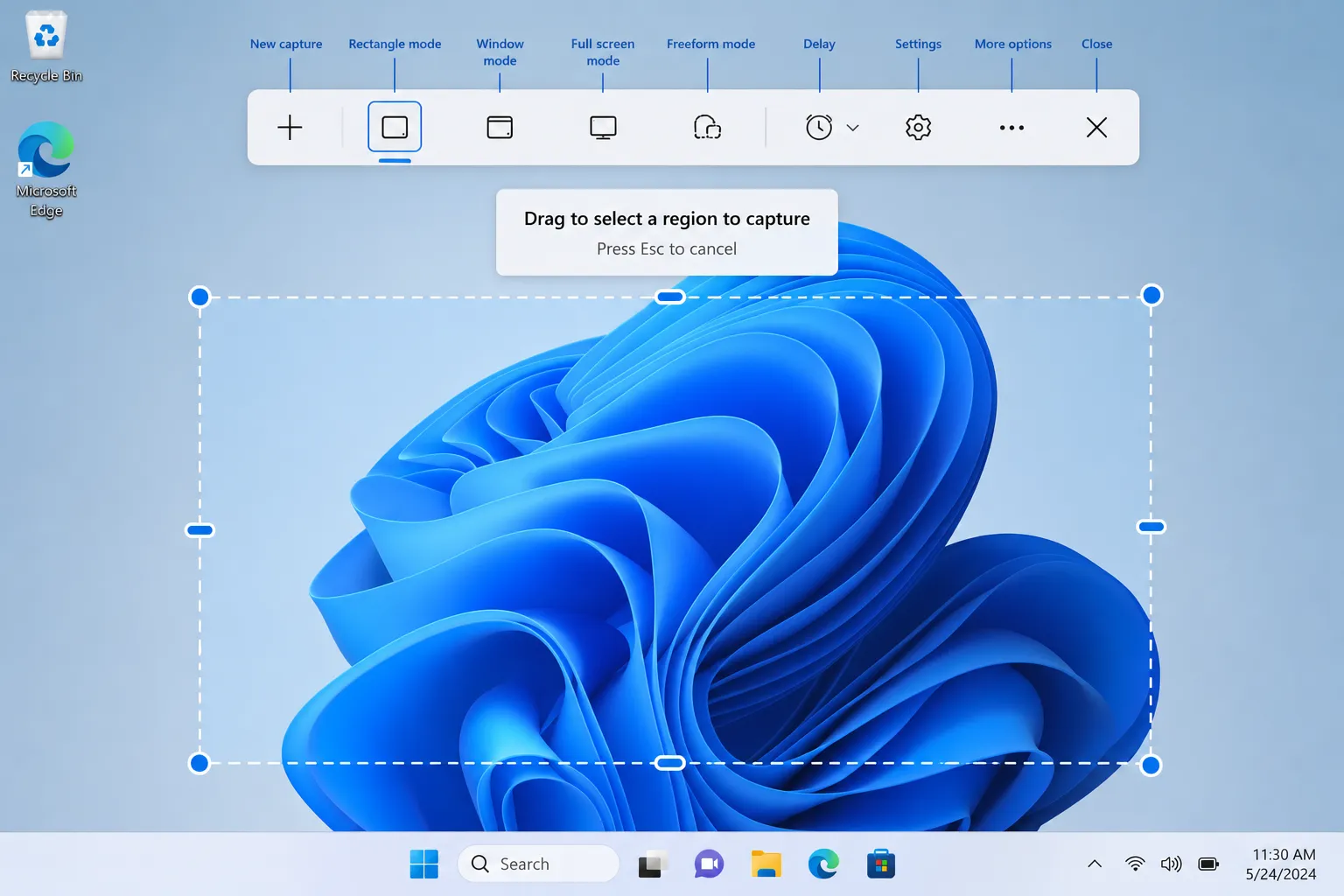 Snipping Tool capture bar showing Windows 11 screenshot features for region selection