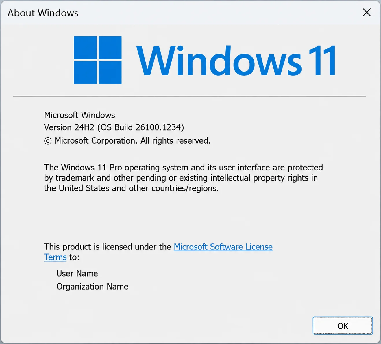 checking windows 11 build number with the winver command checking windows 11 build number with the winver command